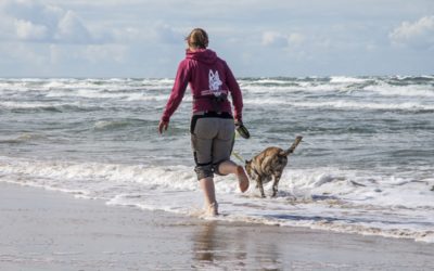 Aus dem Leben mit Hund: Wir Hundemenschen